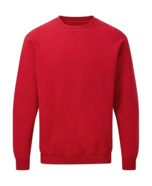 Bluza męska SG 23 Reglan